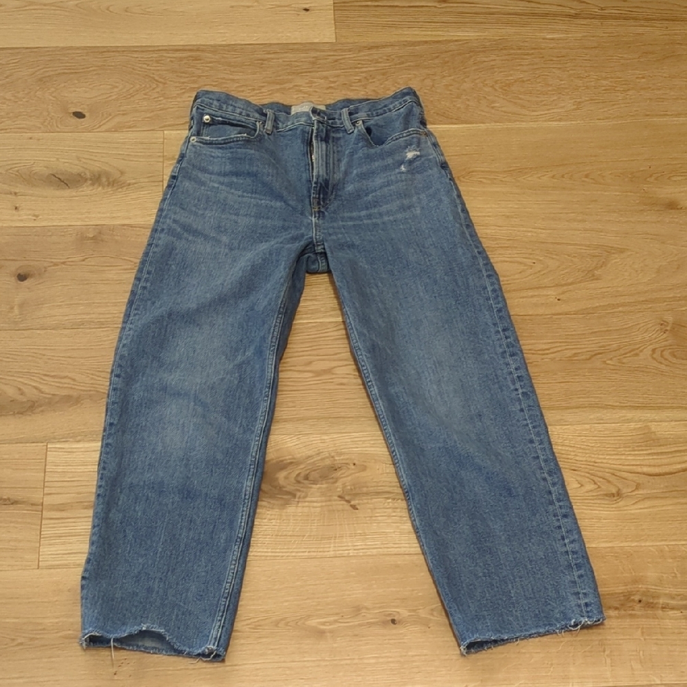 Everlane The Way High Jean Size 27
